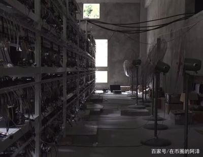 A well-organized mining farm with several rigs