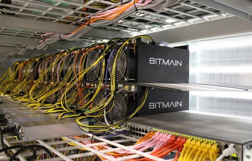 High-end mining rig setup featuring ASIC miners ready for Bitcoin extraction