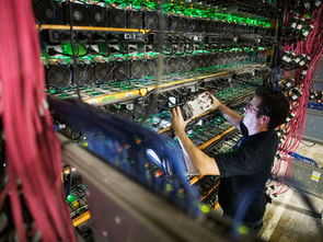 State-of-the-art ASIC mining rig in action with liquid cooling
